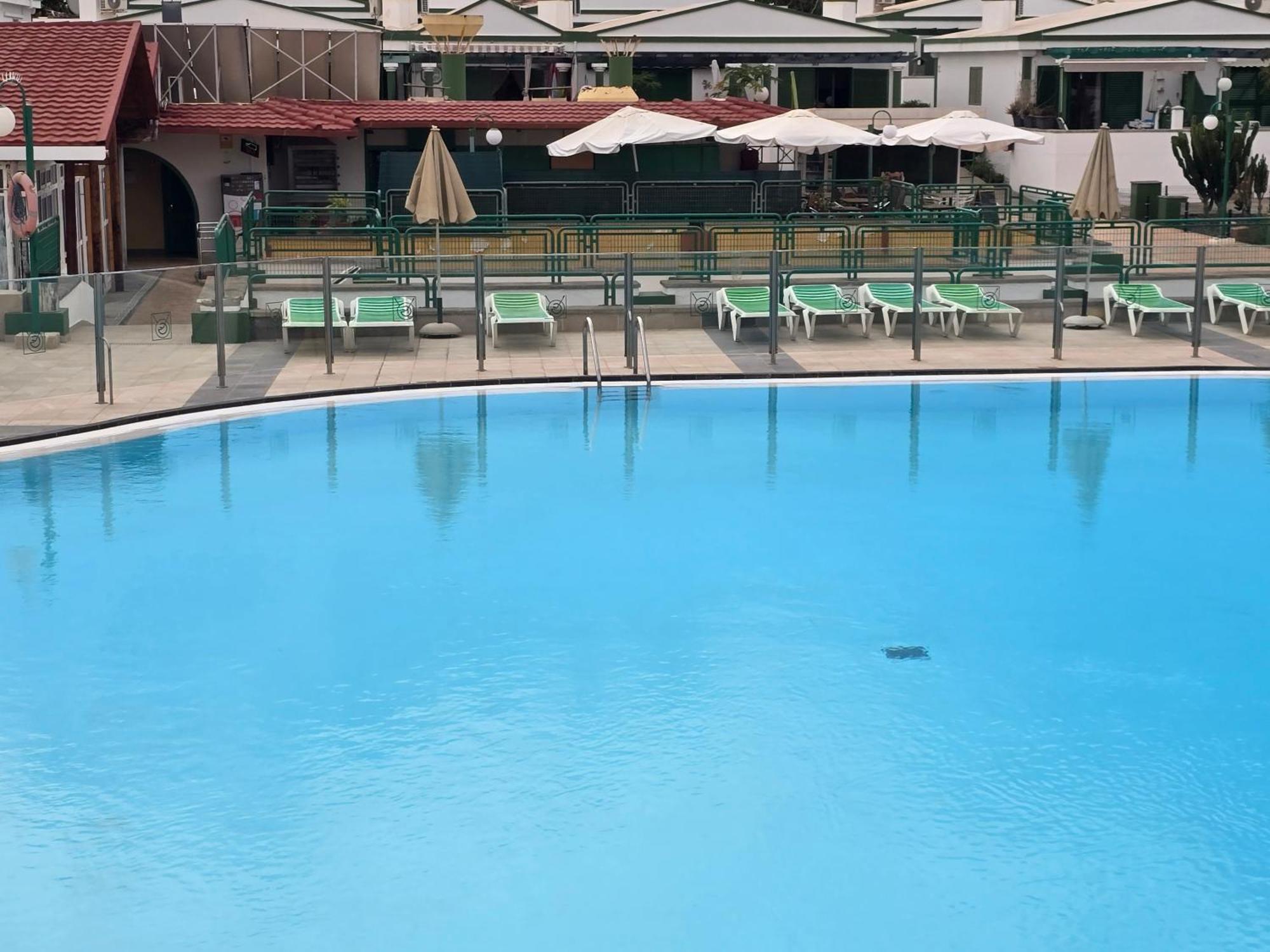 The Sunflower Maspalomas  Exterior photo