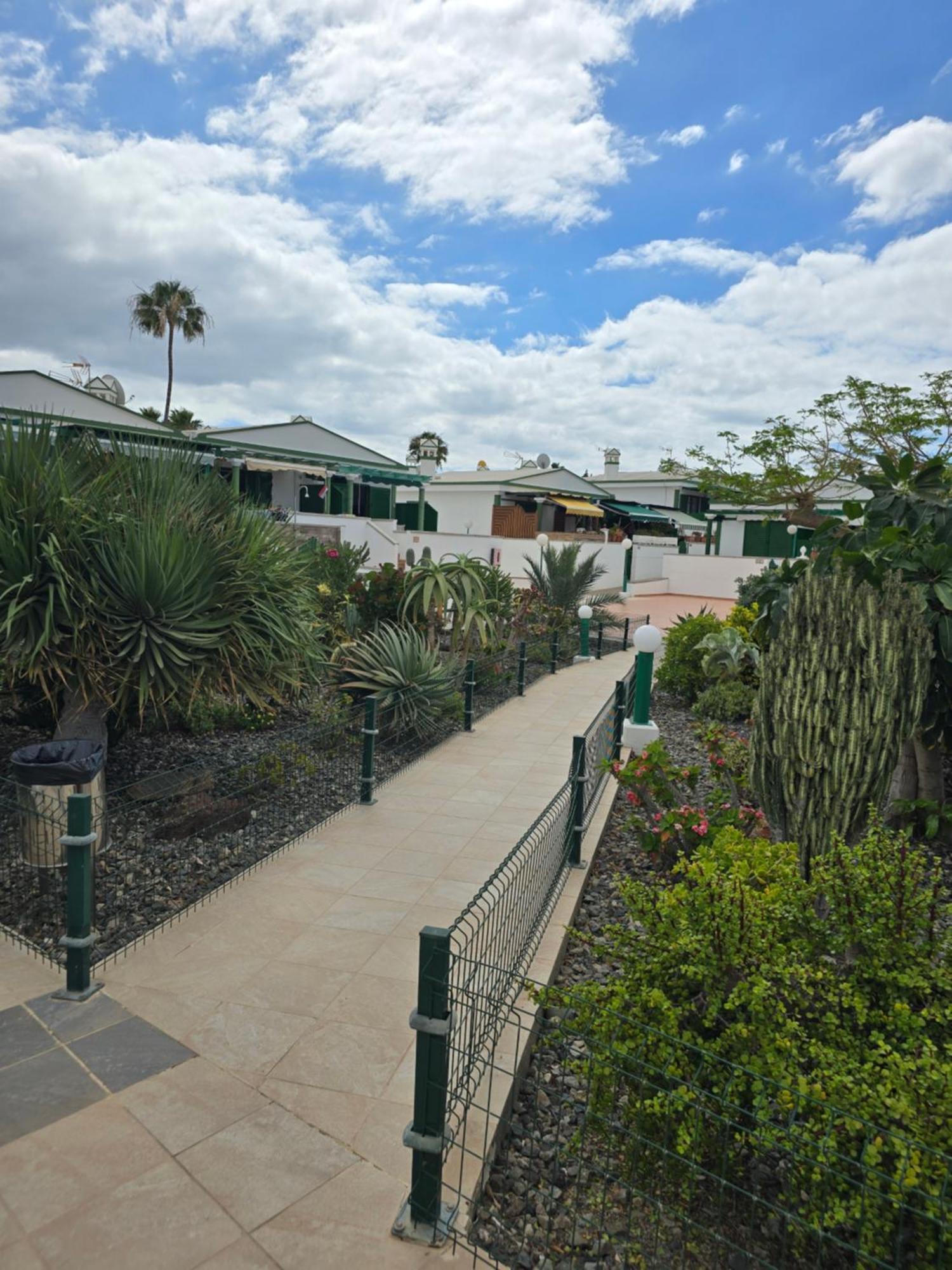 The Sunflower Maspalomas  Exterior photo